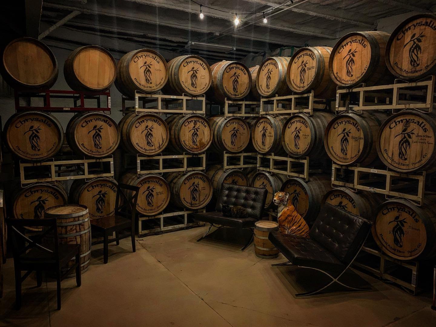 The Chrysalis barrel room — stacked oak barrels under string lights, with leather chairs waiting